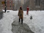 Highlight for Album: Blizzard of 2003